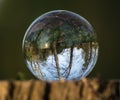 Crystal, Photo, Light, Glass Ball in bluebell wood forest showing upside down magnified image