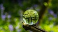 Crystal, Photo, Light, Glass Ball in bluebell wood forest showing upside down magnified image