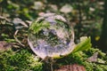 Crystal photography ball in woodland setting