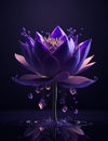 Crystal Purple Lotus Flower Royalty Free Stock Photo