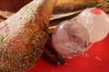 Crystal quartz balls with Pinna nobilis, noble pen shells, macro photography, closeup