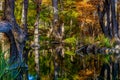 Crystal Reflections of Fall Foliage at Garner State Park, Texas