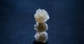 Crystal salt from the Dead Sea.