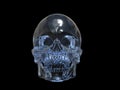 Crystal skull - front view