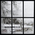 Crystal snowflakes on icy window