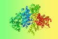 Crystal structure of anthrax toxin lethal factor. Ribbons diagram in rainbow colors. 3d illustration