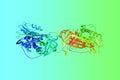 Crystal structure of antithrombin-III, a protein molecule and heparin cofactor. Rendering based on protein data bank