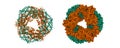 Crystal structure of c-phycocyanin of Synechococcus vulcanus