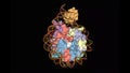 Crystal structure of chromatosome, animated 3D combined surface-cartoon model, black background