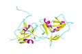 Crystal structure of the Epstein-Barr virus gr42 protein. Ribbons diagram in secondary structure coloring. Rendering