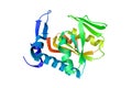 Crystal structure of human adenine phosphoribosyltransferase. Rendering based on protein data bank entry 1ore. Rainbow