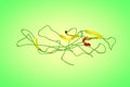 Crystal structure of human chorionic gonadotropin, a hormone produced primarily by syncytiotrophoblastic cells of the