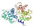 Crystal structure of human cyclin B1