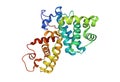 Crystal structure of human cyclin K