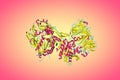 Crystal structure of human dipeptidyl peptidase-4, a serine protease, a member of the prolyl oligopeptidase family that