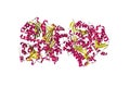 Crystal structure of human insulin-degrading enzyme in complex with insulin. Ribbons diagram. 3d illustration