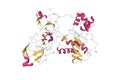 Crystal structure of human matrix metalloproteinase MMP9 (gelatinase B)