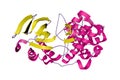 Crystal structure of human mitogen activated protein kinase 11(p38 beta) in complex with nilotinib. Ribbons