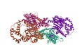 Crystal structure of human prostatic acid phosphatase, biomarker of prostate cancer. Ribbons diagram with differently