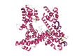 Crystal structure of the inactive retinoblastoma protein phosphorylated at T373