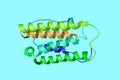 Crystal structure of interferon alpha-2A, a cytokine that used to treat hepatitis B and C infections. Ribbon backbone