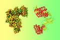 Crystal structure and molecular model of binary complex between interferon alpha-2 (IFNA2), a protein produced by
