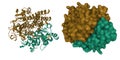 Crystal structure of the oxidized form of Ni-Fe hydrogenase of Desulfovibrio gigas