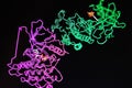 Crystal structure of protein