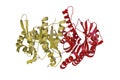 Crystal Structure of the Ternary Human PL Kinase-Ginkgotoxin-MgATP Complex. Rendering with multi-colored protein chains