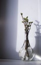 Crystal vase on the window