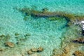 Crystal water on Fuerteventura Canary Islands Royalty Free Stock Photo