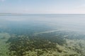 Crystal water of the lake Naroch