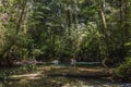 Crystal water in Melinau River,Gunung Mulu, Sarawak, Borneo JANUAR 2019