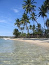 crystal waters blue sky white beach philippines Royalty Free Stock Photo