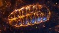A crystalclear image of a mitochondrion in the process of converting glucose and oxygen molecules into usable energy as Royalty Free Stock Photo
