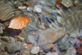 crystalclear spring with a leaf floating on the surface