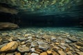 crystalclear water showcasing the rocky floor of a cave