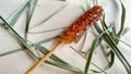 Crystalized Sugar On The Elegant Wooden Stick And Lemongrass Lea
