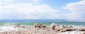 Crystalline salt on beach of Dead Sea Royalty Free Stock Photo