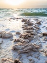 Crystalline salt on coast of Dead Sea on sunset Royalty Free Stock Photo