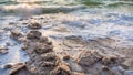 Crystalline salt on shore of Dead Sea on sunset Royalty Free Stock Photo