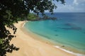 Crystalline sea beach in Fernando de Noronha Royalty Free Stock Photo