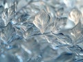 Crystalline structure of frost on glass