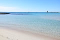 white sandy beach in summer