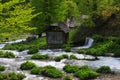 The spring of Cerna river,romania Royalty Free Stock Photo