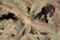 Crystals of acetylsalicylic acid under a microscope. Royalty Free Stock Photo