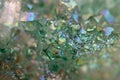 Crystals Agate SiO2 silicon dioxide. Macro