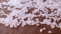 Crystals of food salt close-up Royalty Free Stock Photo
