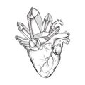 Crystals growing from human heart isolated on white background. Hand drawn line art and dot work vector illustration