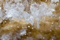 Crystals of gypsum